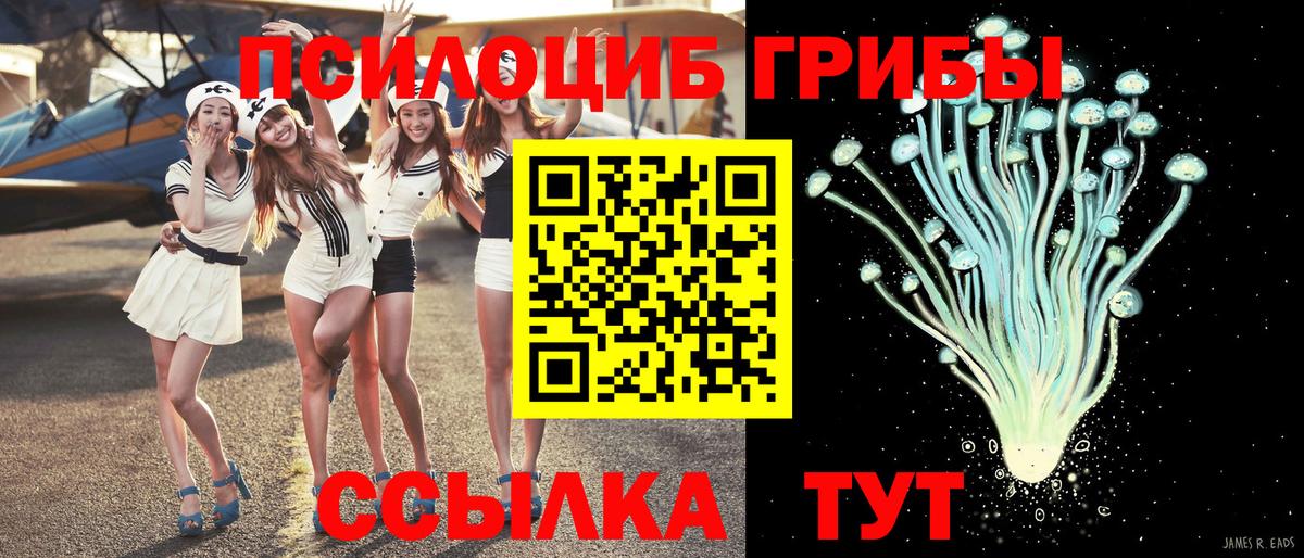 цены наркотик  Вход с VPN  Мурино  Псилоцибиновые грибы мухоморы  Галлюциногенные грибы ЛСД 
