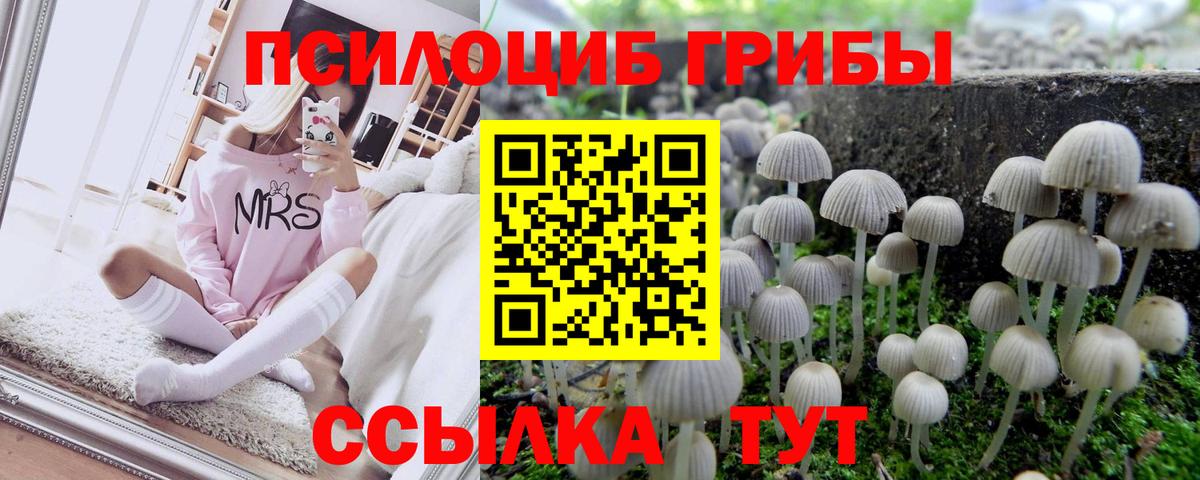 Псилоцибиновые грибы прущие грибы Мурино