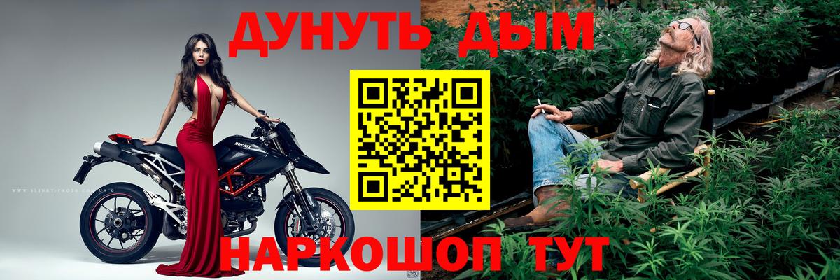 Каннабис ГИДРОПОН  Конопля тримм  Мурино  Вход с VPN  Бошки Шишки тримм 